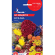 Квіткова суміш Сухоцвіти Ікебана, 0,5 г, GL SEEDS