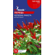 Перець декоративний Червона ракета 0,15 г, Gl Seeds