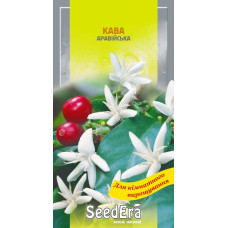 Кава Аравійська, 10 шт, Сімейний Сад