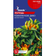 Перець декоративний Помаранчеве диво 0,1 г, Gl Seeds