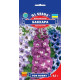 Дельфініум Баккара, 0,5 г, GL SEEDS