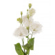 Еустома (Лізіантус) Alissa 2: Pure White 250 шт, Sakata