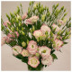 Еустома (Лізіантус) Aube 3: Pink Picotee, 250 шт, Sakata