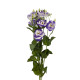 Еустома (Лізіантус) Aube 3: Blue Picotee, 250 шт, Sakata