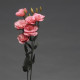 Эустома (Лизиантус) FLARE F1 DEEP ROSE