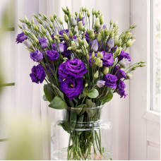 Эустома (Лизиантус) Rosita® 4: Purple