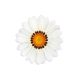 Газанія жорсткувата Zany White, 100 шт, Benary