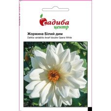 Жоржина Білий дим, 0,1 г, Садиба Центр
