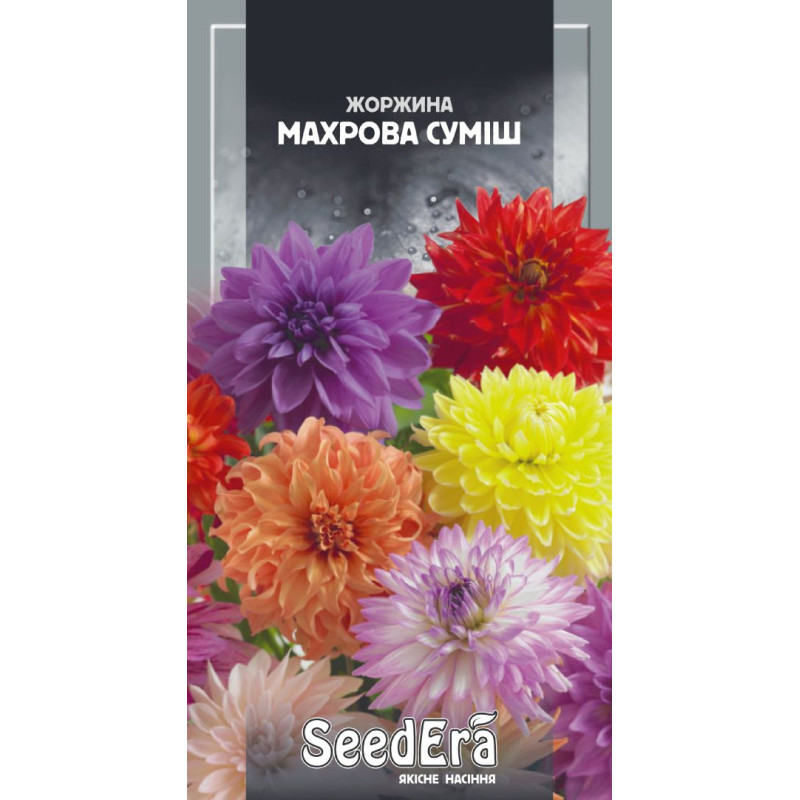 Жоржина мінлива Махрова суміш 0.5 г, Сімейний сад