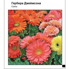 Гербера Джеймсона смесь 