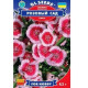 Гвоздика Периста Рожевий сад 0,2 г, GL SEEDS