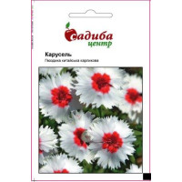 Гвоздика кит Карусель карлик, низкоросл