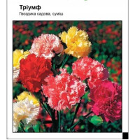 Гвоздика садовая Триумф смесь