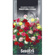 Гвоздика Садовая Гренадин махровая смесь 