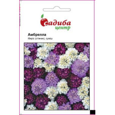  Іберіс Амбрела суміш, 0,5 г, Садиба Центр