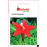 Іпомея Кардинал, 0,5 г, Садиба Центр