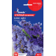 Статиця (кермек) Блю Айс, 0,1 г, GL SEEDS