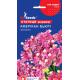 Статиця (кермек) Амерікан Бьюті, 0,1 г, GL SEEDS