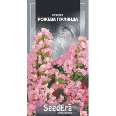Кермек выемчатый Розовая Гирлянда
