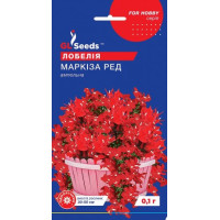 Лобелія ампельна Маркіза Ред 0.1 г, Gl Seeds