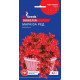 Лобелія ампельна Маркіза Ред 0.1 г, Gl Seeds