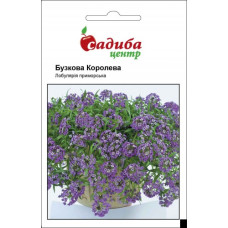 Лобулярія приморська Бузкова Королева, 0,1 г, Садиба Центр