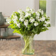 Левкой для теплиц Tosca  White
