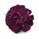 Левкой для теплиц AIDA Purple