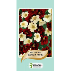 Настурция "День и ночь"