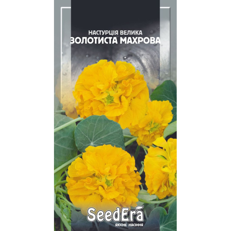 Настурция Большая Золотистая махровая