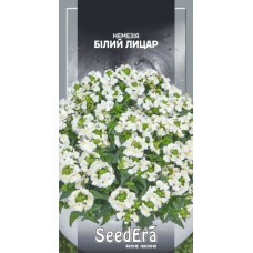 Немезия Зубовидная Белый Рыцарь
