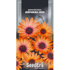 Диморфотека Африкан Мун 0.2 г, Сімейний сад