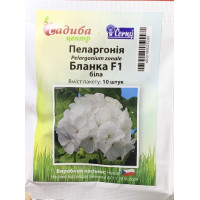 Пеларгония Бланка F1, белая