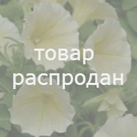 Петуния ампельная  BABY DUCK F1 YELLOW, Petunia pendula