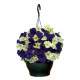 Петуния Capri F1 Midnight (Lime Yellow, Blue)
