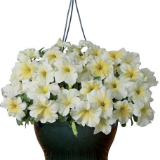 Петунія ампельна Capri F1 Yellow, 10 шт, Farao