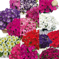 Петунія ампельна Gioconda Mixed, 100 шт, Farao