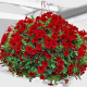 Петуния ампельная Gioconda F1 Scarlet