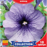 Петунія великоквіткова Лімбо Синя, 10 шт, GL SEEDS