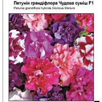 Петуния крупноцв махровая Прекрасная смесь F1