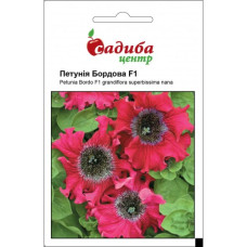 Петуния Бордовая бахромчатая