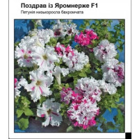 Петунія Поздрав із Яромнерже F1, 10 шт, Садиба Центр
