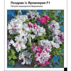 Петунія Поздрав із Яромнерже F1, 10 шт, Садиба Центр