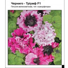Петуния Черниго Триумф F1