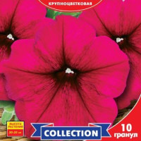 Петунія F1 Прізм Ред, 10 шт, GL SEEDS