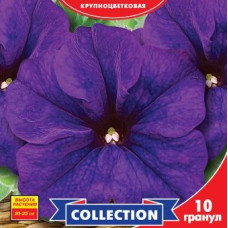 Петунія F1 Прізм Вайолет, 10 шт, GL SEEDS