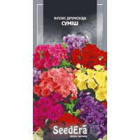 Флокс Друммонда, суміш 0.2 г, Сімейний сад