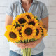 Соняшник декор Sunrich Summer F1 Provence, 250 шт, Takii seed