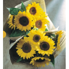 Подсолнечник декор Sunrich F1 Lemon