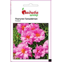 Портулак Грандіфлора рожевий 0.02 г, Садиба